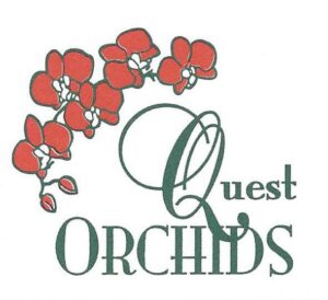 Quest Orchids Logo pic